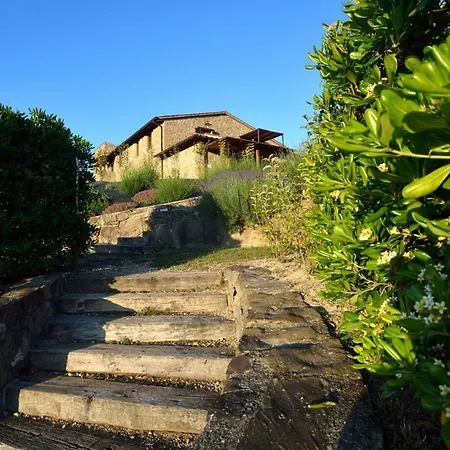Il Belvedere
